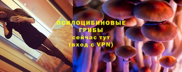 тгк Алексеевка